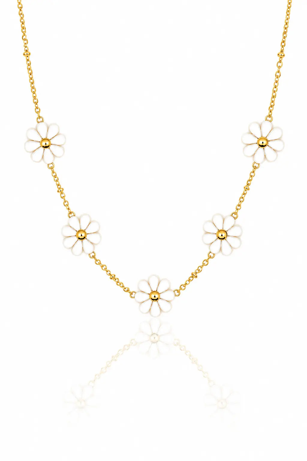 Daisy Éclat